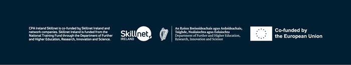 CPA-Ireland-Skillnet-screen-652px.jpg